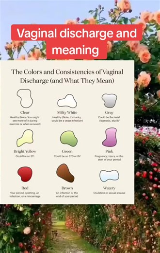 Understanding Vaginal Discharge: Colors and Meanings Explained