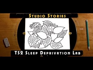 PIXAR Studio Stories : c Sleep Deprivation Lab - TOY STORY