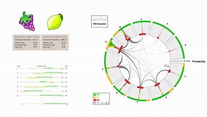 Visual Methods for Analyzing Probabilistic Classification Data