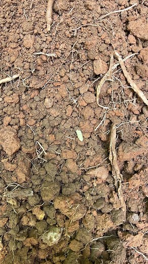 ALIENS! 👽👽👽 #reels #alien #nasty | Exploring with the Nug