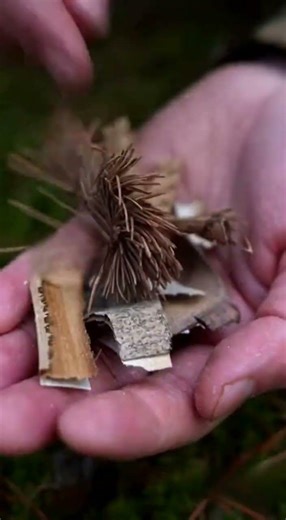 This Log Turns Into a Perfect Campfire 🔥 (Finnish Candle Trick) #survival #bushcraft #creative