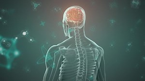 Premium stock video - Animation of molecular structures floating over human body model against green background