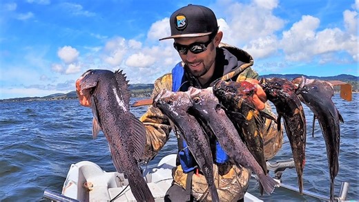 I Filled My Freezer With Fish Kebobs! 🐟