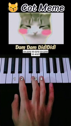 Dam Dam DidiDidi - Cat Meme (Easy Piano Tutorial)