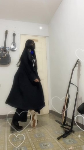 Chando dance is back, cat loving dance ft. cat #ado #chando #pjsekai #projectsekai #dance #jpop #adomination #adominationz #adoislife #catloving #fyp