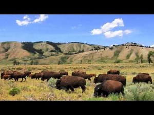 Stuart Snake - 4 Sioux-Style Peyote Songs (Live)