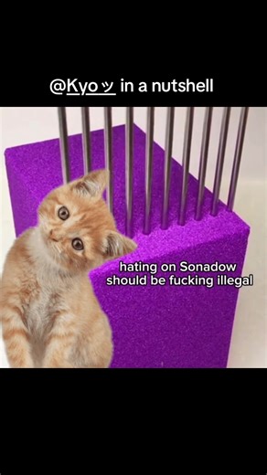 #sonic#rant#sonadow #shadow | kyo sonic