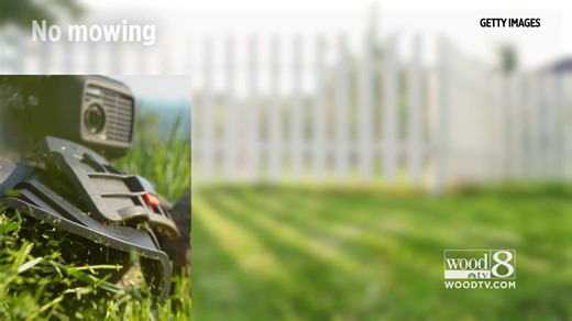 Alternatives to sod lawns are becoming popular, take a look at some different kinds: https://www.woodtv.com/news/national/grass-lawn-alternatives-to-save-you-time-and-money/ | WOOD TV8