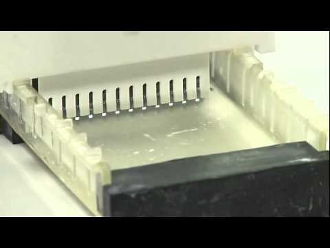 Agarose gel electrophoresis | 22/95 | UPV