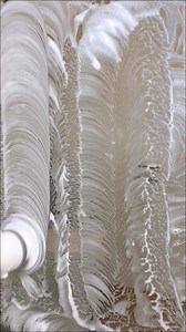 551K views · 1.7K reactions | How often do you clean your bathroom?...