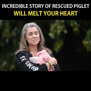 440K views · 948 reactions | Thanks for this video Sean Peace Myers,...