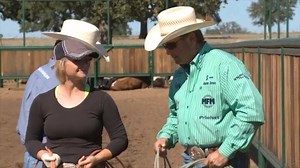 Roping with your #tip with Rich Skelton on www.totalteamroping.com! | Total Team Roping