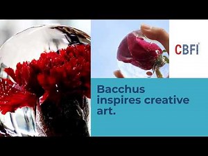 How to make roundness crystal clear ice sphere?