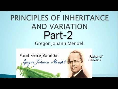 Biology#ch-4 principles of inheritance & variation#quick revision # mind map#part-2