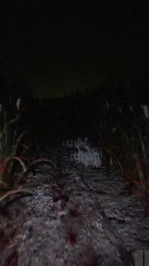 I Ended Up In The Scariest Farm Ever #scary #scarygame