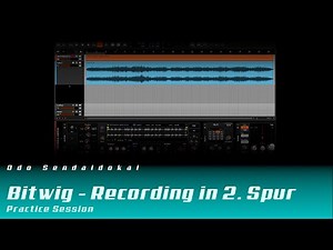 Audio in 2. Spur aufnehmen (Deutsch) | Bitwig