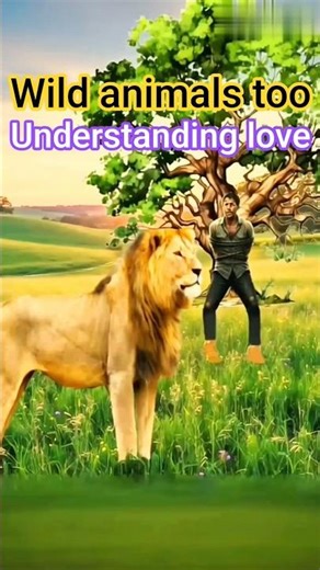 "The Lion Who Never Forgot His Human Friend"