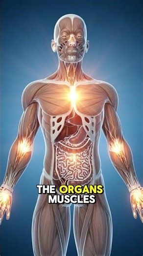 What happens when you drinks Alcohol, #shorts #alcohol #health #facts #body #wellness #healthtips