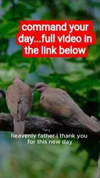 Command your day #morningprayers #christianprayer #biblesays #bibleprayers