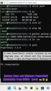 Runnng Linux and Windows PowerShell Commands From Within 'pwsh' ✍️📚👌