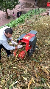 1.6M views · 5.9K reactions | Small chaff cutter,strong and high efficiency . Plesea contact us via Whatsapp/Wechat:+8619181360623.We are seeking import partners all over the world. #dawnagro #machinery #farmer #chaffcutter | Dawn Agro Machinery | Facebook