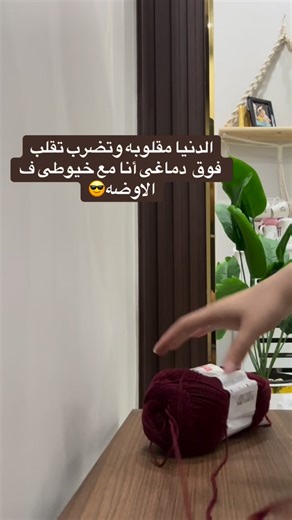 Pansy Store 🍁 on Instagram: "#handmadewithlove❤️ #crochet #crochetdesign"