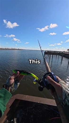 Garcia Bros 🇺🇸🇲🇽 on Instagram: "I Got Kicked Out Then Caught A Monster Musky #fishing"