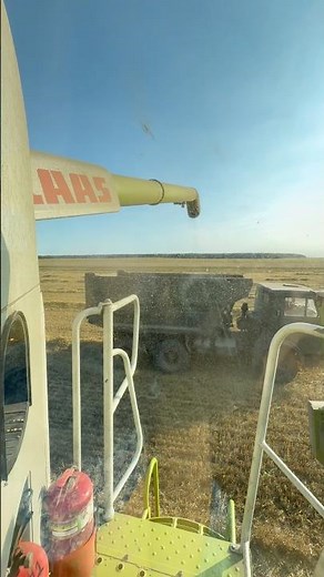 CLAAS Harvest in Action! 🌾🚜 #shorts