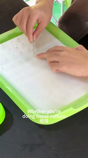 High Efficiency Rack Lighting — One Lamp for the Entire Tissue Culture & Seedling Cycle! #growlights