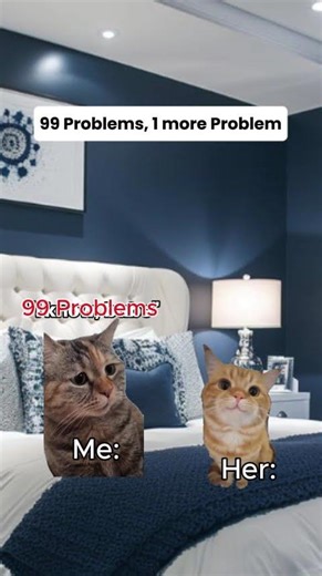 99 Problems +1 problem #relatable #relationship #catmemes #catvideos
