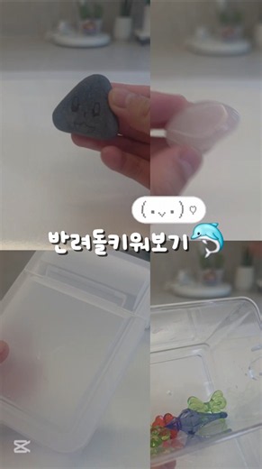 [011]반려돌키워보기🐬 #vlog