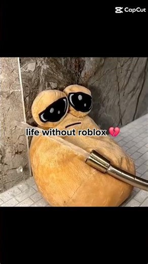 life without roblox