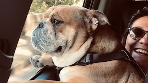 Florence Foresti dévoile un sketch hilarant avec son chien (VIDÉO)