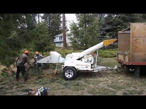 Tree work "Chuck and Duck" chipper. raw/unedited.