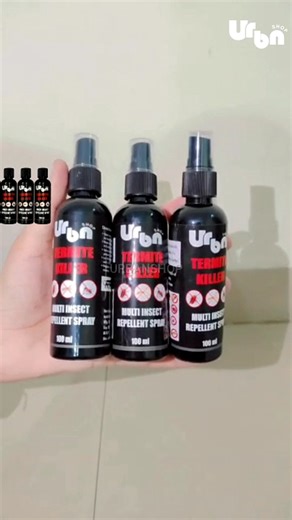 😱 Termites Multiply Silently ⏰ Protect Your Home Before the Damage Gets Out of Control 😱 | Termite Buster