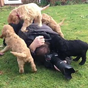 9K views · 148 reactions | Is this the best job in the world?  | Latest Free Stuff | Facebook