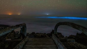 Waters off Washington coast glow blue with bioluminescence