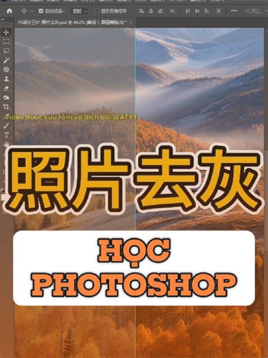 Học PTS - Cách khử xám chuẩn #photoshop #hocphotoshop #huongdanphotoshop