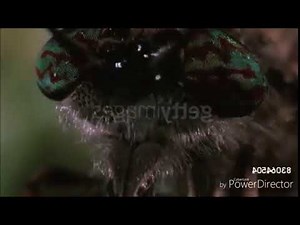 June's Reaction To Wormy!