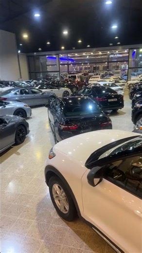 BMW vs Toyota Camry cars collection