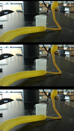 When a balloon filled with air is placed in liquid nitrogen, the extreme cold causes the gas particles inside to slow down and move closer together, making the balloon shrink. As the balloon is removed and warms back up, the gas particles speed up and spread apart, causing the balloon to expand again. This demonstrates Charles’s Law, which states that the volume of a gas increases as its temperature increases (at constant pressure), and decreases as its temperature decreases. #Chemistry #Chemist