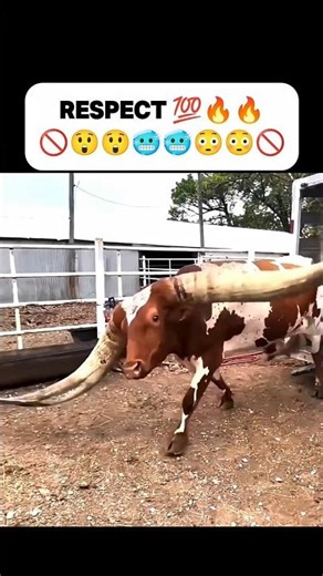 Respect 💯 #respect #cr7 #shorts