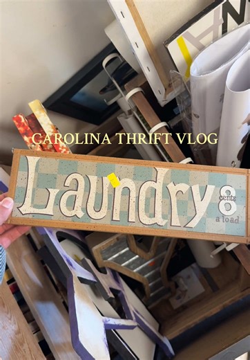 Exploring Carolina Thrift: Home Decor Finds