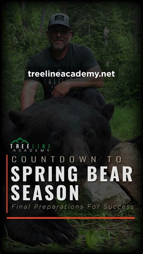 The Countdown To Spring Bear Webinar