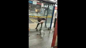 Sheffield woman urinates at bus stop in broad daylight