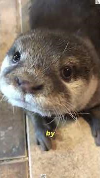 A Bond That Never Broke #animals #Friendship #Us