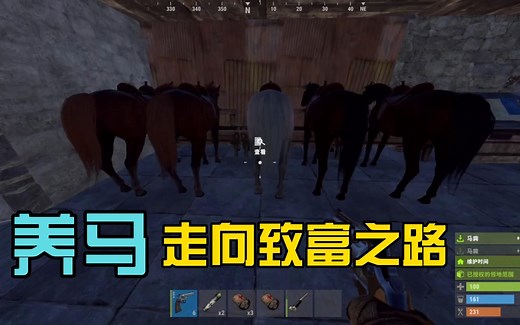 【RUST】独狼生存，养马走向致富之路