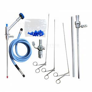 [Hot Item] Endoscopic Instruments Medical Percutaneous Nephroscope Set