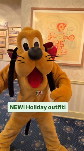 646 reactions · 30 shares | NEW Pluto’s Holiday outfit at Disneyland! ❤️ #DisneyParks #Disneyland #DisneylandResort #Disney #DisneyHolidays #DisneylandHolidays #DisneyChristmas #DisneylandChristmas #HappiestPlaceOnEarth #Disneyland70 @DisneyParks @Disneyland | Findingdenny | Facebook
