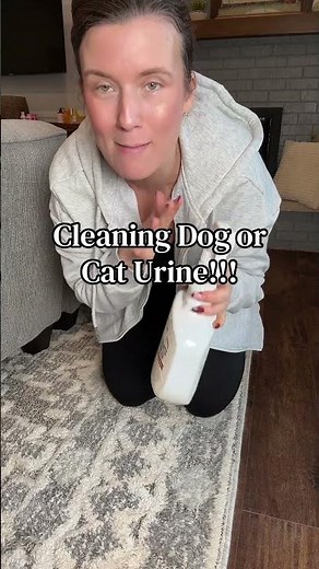 Ultimate Cleanup: Rocco & Roxie Extreme Stain & Odor Eliminator Review #CleaningTips #PetOwners